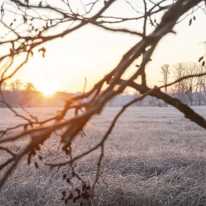 Winter landscape in frost at sunrise Winter landscape in frost at sunrise