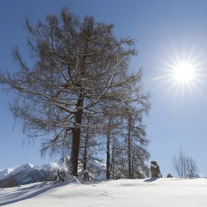 Winter landscape, Karwendel Mountains Winter landscape, Karwendel Mountains