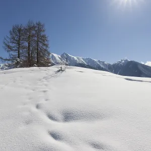 Winter landscape, Karwendel Mountains Winter landscape, Karwendel Mountains