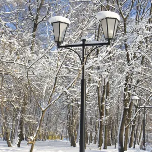 Winter landscape, park with trees in slow and street lamp on sunny day with blue sky