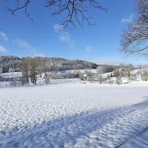 Winter landscape with snow-covered fields and trees under a blue sky Winter landscape with snow-covered fields and trees under a blue sky