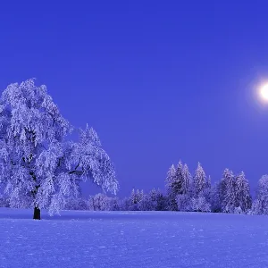 Winter landscape with white frost by the light of a full moon Winter landscape with white frost by the light of a full moon