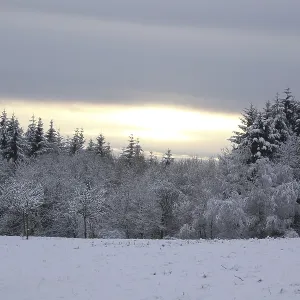 Winter on the Riedelbacher Heide