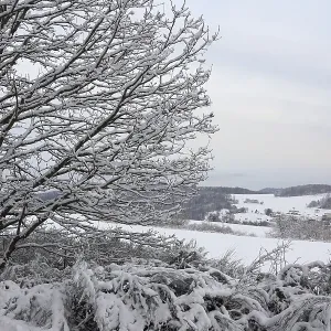 Winter on the Riedelbacher Heide