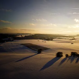 Winter, snow, forest, trees, drone