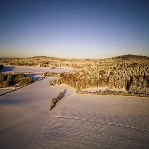 Winter, snow, forest, trees, drone