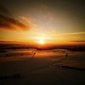 Winter, snow, forest, trees, drone