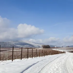 Winter in the Southern Palatinate Winter in the Southern Palatinate