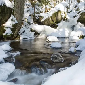 Winter in Ysperklamm Gorge, Waldviertel or Forest Quarter