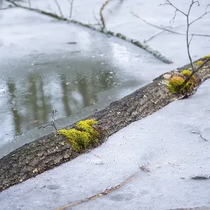 Winterladscape of a swamp with ice Winterladscape of a swamp with ice