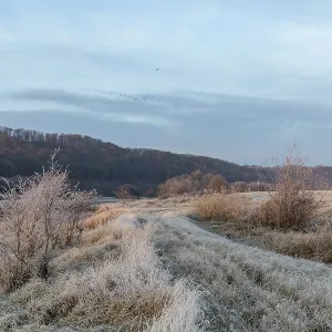 Morgendämmerung über den gefrorenen Elbauen bei Coswig in Sachsen, Deutschland.