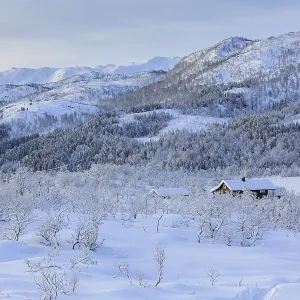 Wintry landscape, house between snowy trees