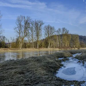 A wintry river flows near bare trees and hills A wintry river flows near bare trees and hills