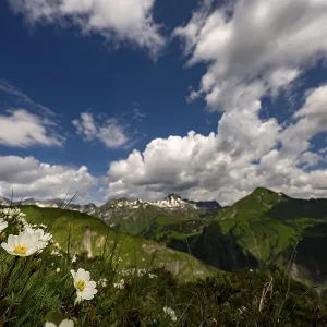 Woken sky with Lechtal summit and White dryad (Dryas octopetala) in the foreground Woken sky with Lechtal summit and White dryad (Dryas octopetala) in the foreground