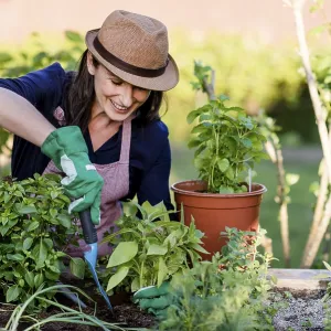 Woman doing gardening on a raised bed, Germany Woman doing gardening on a raised bed, Germany