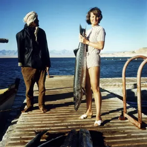 Woman and Egyptian with large captive barracuda