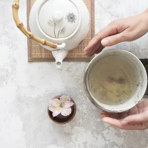 Woman gently holding a tea bowl during a traditional japanese tea ceremony Woman gently holding a tea bowl during a traditional japanese tea ceremony