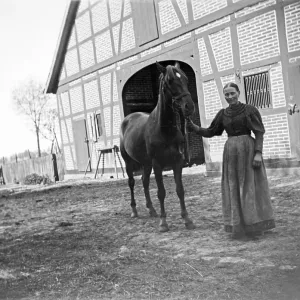 Woman with horse posing for the photo Woman with horse posing for the photo