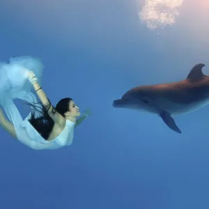 Woman swimming, diving with Bottlenose Dolphin (Tursiops truncatus)
