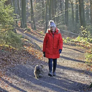 Woman walking through the winter forest with dog Woman walking through the winter forest with dog