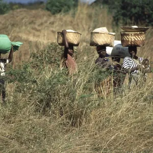 Women balancing baskets on their heads Women balancing baskets on their heads