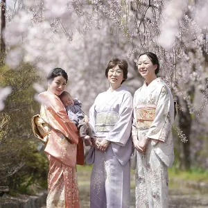 Trois femmes en tenues traditionnelles japonaises se tiennent devant des arbres de cerisier. Trois femmes en tenues traditionnelles japonaises se tiennent devant des arbres de cerisier.