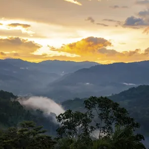 Wonderful nature view representing conserve our planet earth