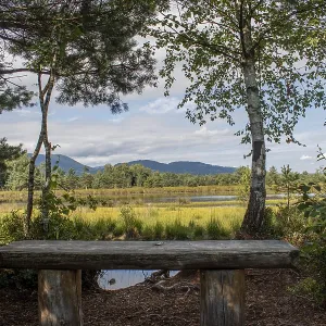 Wooden bench in the forest with a view of the moorland and mountains Wooden bench in the forest with a view of the moorland and mountains