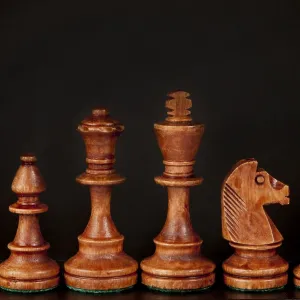 Wooden chess pieces lined up against a dark background