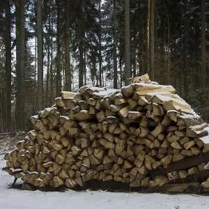 Woodpile in a wintery forest Woodpile in a wintery forest
