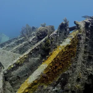 John Pennekamp Coral Reef State Park Wreck of the Benwood Print