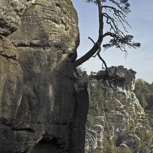 The Wehlkiefer on the Bastei/Elbsandsteingebirge/Saxonia/Germany<br>The ?Wehlkiefer The Wehlkiefer on the Bastei/Elbsandsteingebirge/Saxonia/Germany<br>The ?Wehlkiefer