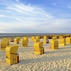 Yellow beach chairs in the evening light at the beach of Cuxhaven-Dose Yellow beach chairs in the evening light at the beach of Cuxhaven-Dose
