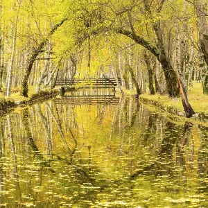 Yellow Birch Trees and Zezere River Source at Covao da Ametade in Autumn