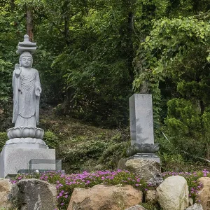 Yeongi-gun, South Korea. December 24