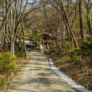 Yeongi-gun, South Korea. December 24