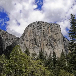 Yosemite National Park Print: El Capitan Landscape
