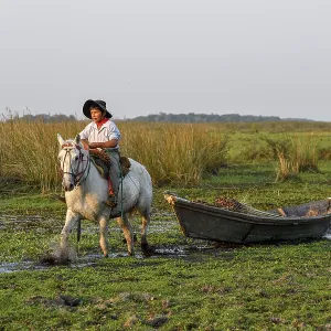 Young gaucho pulling a boat with reeds
