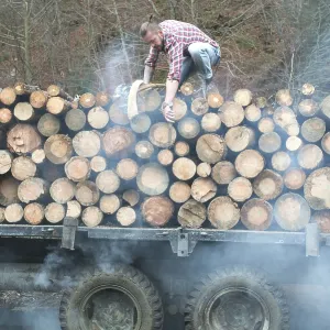Young man on vintage truck with logs in the forest