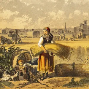 Young woman with baby in a stroller on a cornfield