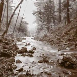 Zellerache flows through autumn forest in morning mist Zellerache flows through autumn forest in morning mist