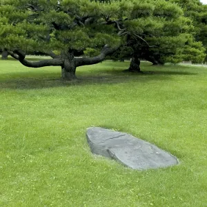 Zen garden background in summer