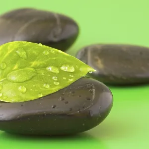 Zen stones with leaf on green background
