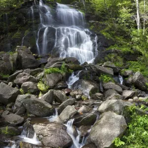 Zweribach waterfalls at Mt Kandel