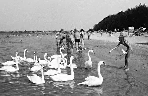 07.07.1983 GDR district of Cottbus town of Senftenberg