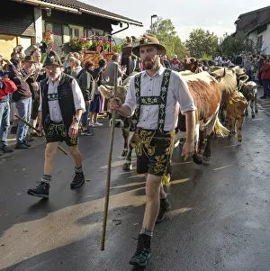 16. 09. 2022. Almabtrieb, cattle seperation in Thalkirchdorf