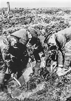 1920 search party of the Imperial War Graves Commission