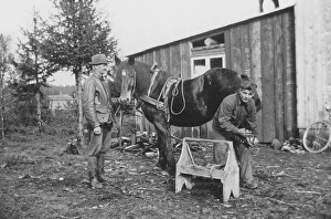 In the 1930s. A farrier shoeing a horse