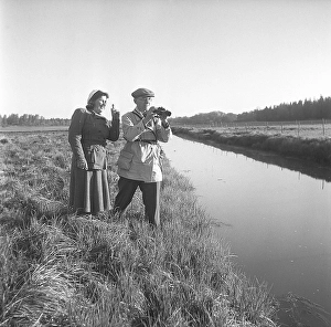 1940s outdoor life. A couple is out in the nature and is interested in plants and flowers