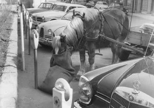 In the 1950s. A decade when horses began to disapear from the streets and the cars